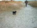 Neptun p� Vallensb�k strand