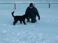 Glad hund!