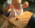 Sara spiser jordb�r