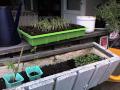 Planter