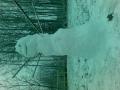 �rets andre sn�mann