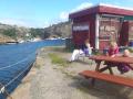 Papperhavn